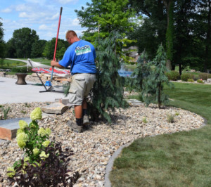 landscaping-install around pool with trees, pebbles and edging